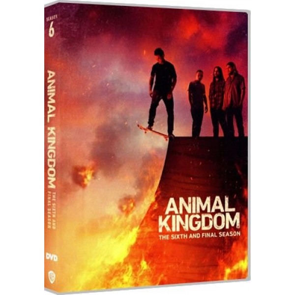 Animal Kingdom Season 6 DVD