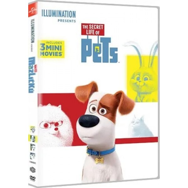 The Secret Life of Pets Kids DVD